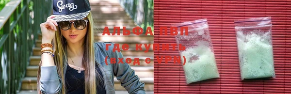 индика Гусев