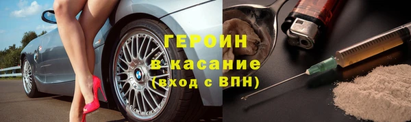 индика Гусев