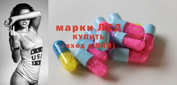 индика Гусев