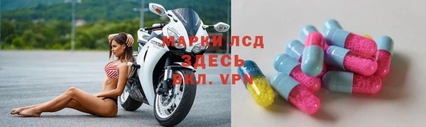 индика Гусев
