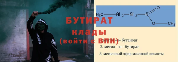 индика Гусев