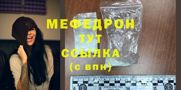 индика Гусев