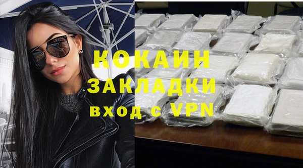 индика Гусев