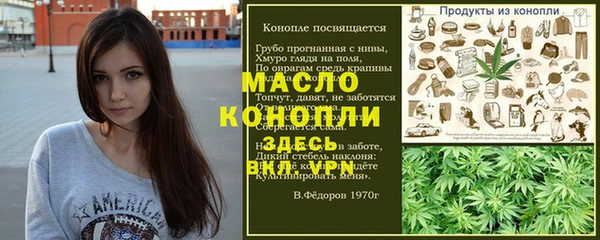 индика Гусев