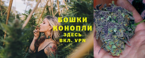 индика Гусев