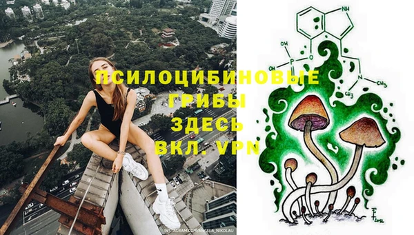 MDMA Гусь-Хрустальный