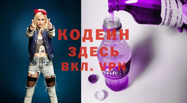 индика Гусев