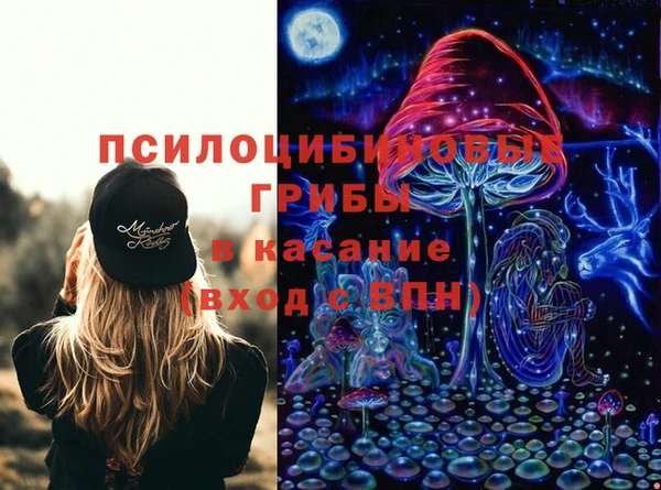 соль ск Гусиноозёрск