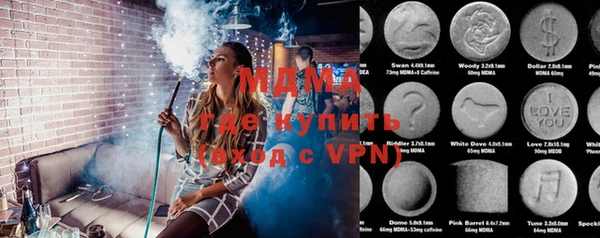 индика Гусев