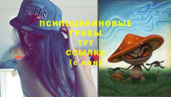 MDMA Гусь-Хрустальный