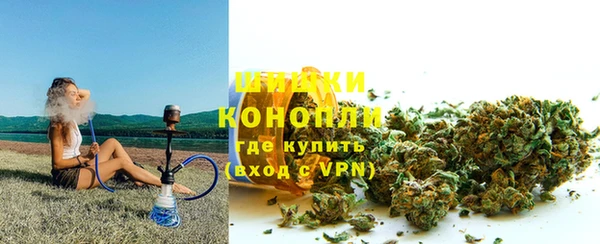 индика Гусев