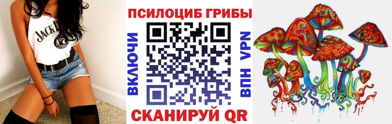 Псилоцибиновые грибы мицелий  где купить наркотик  это наркотические препараты  Шацк 